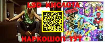 гашик Берёзовский