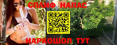 гашик Берёзовский