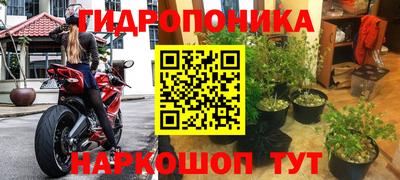 гашик Берёзовский