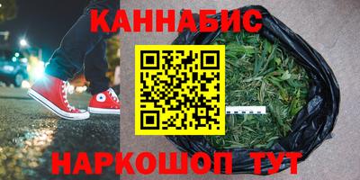 гашик Берёзовский