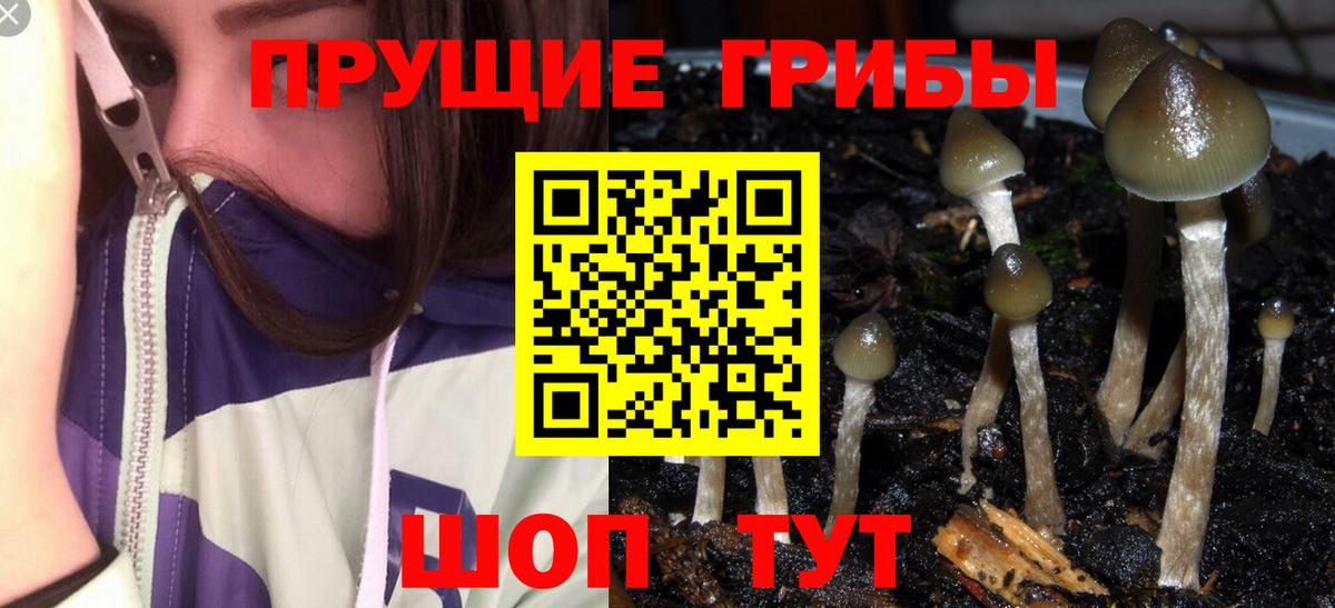 Псилоцибиновые грибы мухоморы Керчь